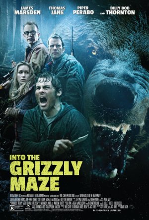 Into the grizzly maze