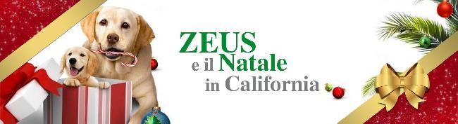 Zeus e il natale in california